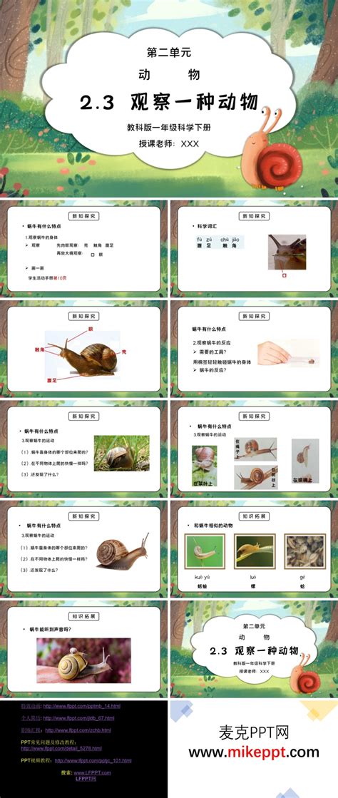 蜗牛观察日记卡通手抄报Word模板下载_熊猫办公