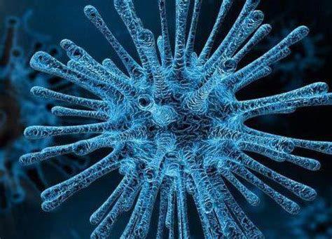 法国发现“极为罕见”变异新冠病毒，近50人感染 - 当代先锋网 - 要闻
