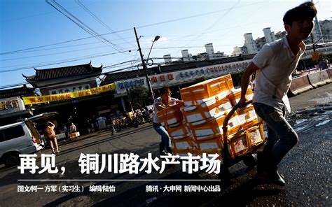 上海江阳水产市场官网_水产价格每日查询系统_微信公众号文章
