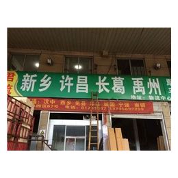 刺冬青-京山恒艺园林绿化工程有限公司