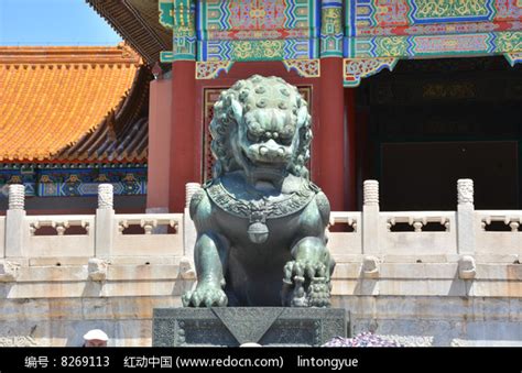 故宫太和门青铜狮子高清图片下载_红动中国