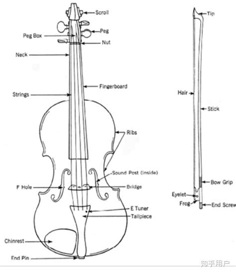 有哪些有关小提琴及周边的知识？ - 知乎