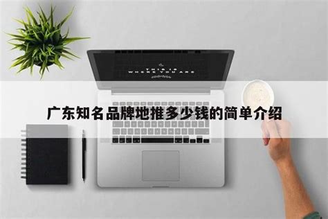 广东知名品牌地推多少钱的简单介绍 - 首码网