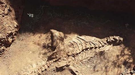 罕见！云南8米长恐龙化石挖掘现场曝光：完整度超70%
