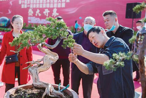 第五届中国·滁州（来安）华东苗木花卉交易博览会成功举办_滁州市人民政府
