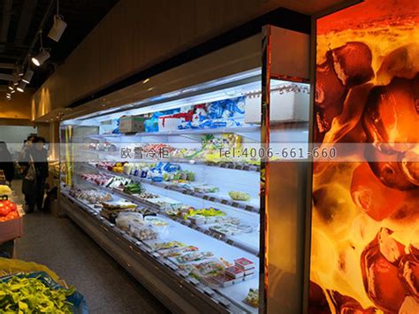B100上海市静安区铜仁菜场超市冷藏冷冻柜-【欧雪冷柜】