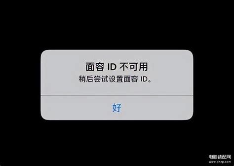 苹果面容id不可用怎么办(iPhone面容ID不可用修复方法)_金纳莱网