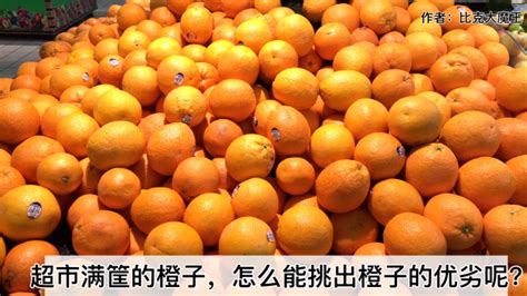 资中血橙1月即将首次出口泰国 | 国际果蔬报道