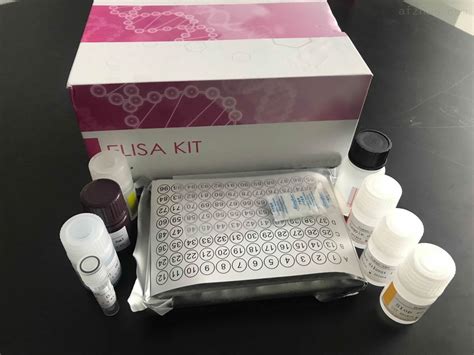 腺病毒核酸检测试剂盒(PCR-荧光探针法)-广东和信健康科技有限公司