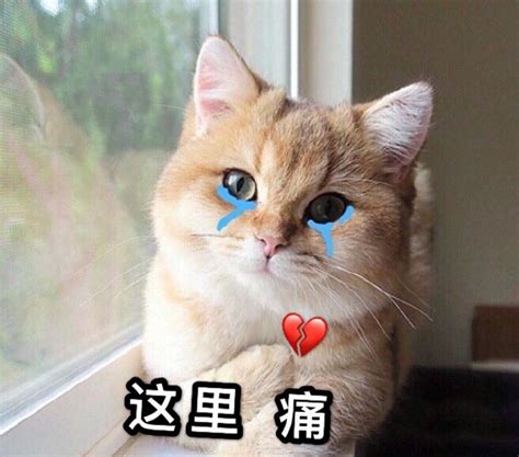 心痛的感觉表情包图片 心痛的感觉表情包图片