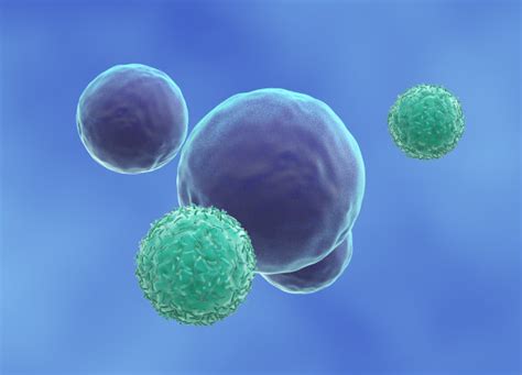 t细胞,抗原,受体,二级,细胞膜,水平画幅,辅助性t[淋巴]细胞,健康保健,癌细胞摄影素材,汇图网www.huitu.com