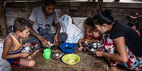 好消息！缅甸在疫情难关下，粮食生产不减反增！ - 知乎
