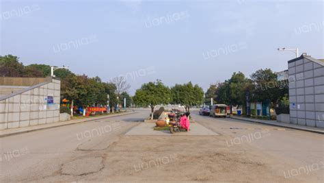 大洋彼岸的热带度假胜地高清摄影大图-千库网