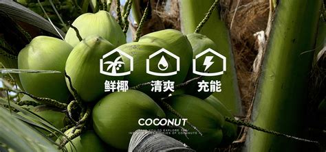 ōu椰椰汁_品牌产品_厦门银鹭食品集团有限公司