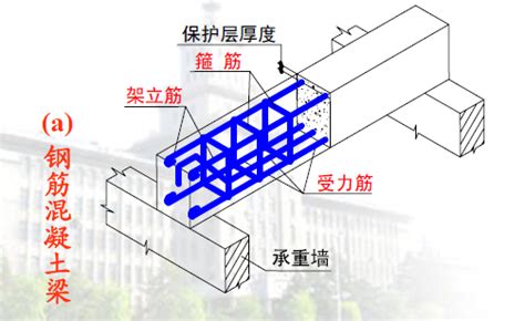 架立筋图片