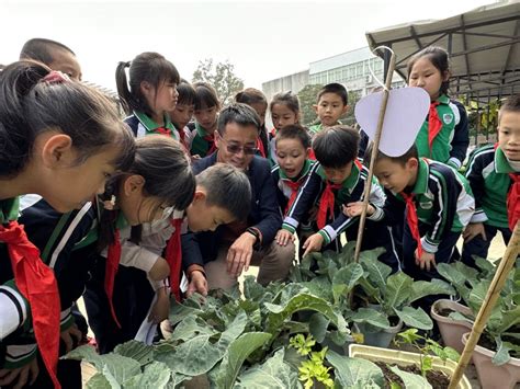 中国农业大学植物保护学院 活动新闻 植保2020级新生开展西区参观活动