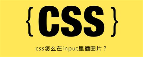 CSS 基础学习-120 css使用 display:none 和visibility:hidden 属性隐藏元素 | 你行网