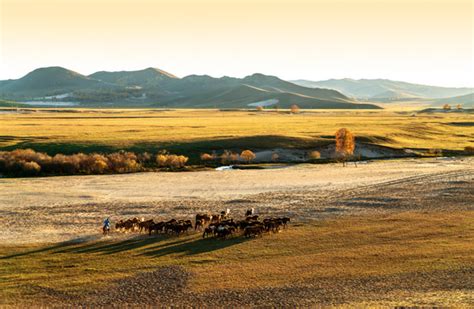 高清老照片：80年代的内蒙古草原，那时的牧民还扛着枪骑着马|蒙古包|草原|牧民_新浪新闻