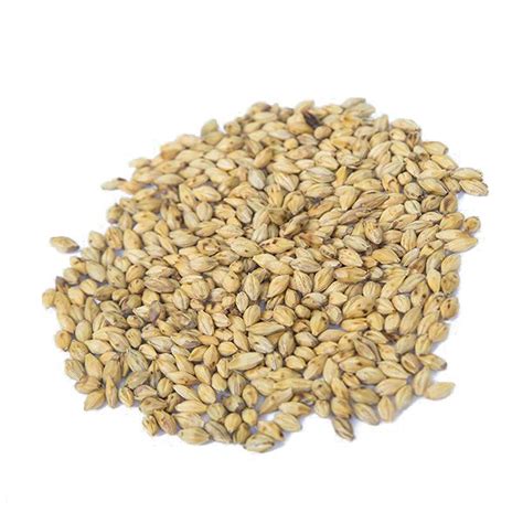 麦芽 批发中药材 大麦芽 生麦芽 炒麦芽 大麦毛 全芽足干 支持药-阿里巴巴