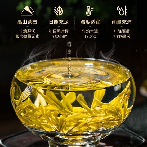 【绿茶进口清关代理公司】告诉您进口绿茶的流程