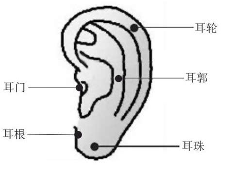 耳朵有痣图解图片