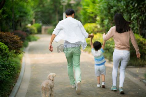 公园里快乐的人牵着拉布拉多狗的画像素材-高清图片-摄影照片-寻图免费打包下载