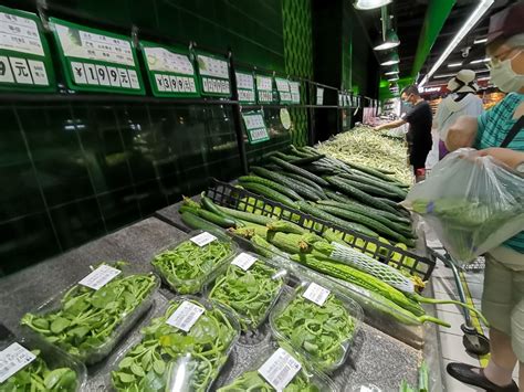 11月初南方蔬菜集中上市 蔬菜价格小幅回落_湖南民生网