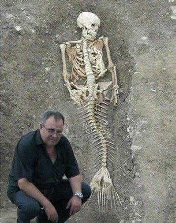 南斯拉夫发现1.2万年前海底人化石, 美人鱼传说变现实|美人鱼|化石|南斯拉夫_新浪新闻