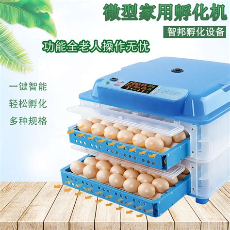【36枚全自动】孵化器全自动小型家用型小鸡鸭鹅鸽子孵蛋机孵化机-阿里巴巴