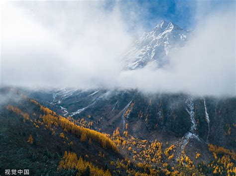 西藏林芝：秋冬转换 雅鲁藏布大峡谷雪山巍峨树木金黄-荔枝网图片