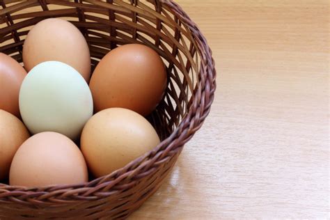 2022年1月24日全国鸡蛋价格整体稳定_青岛中仁动物药品有限公司
