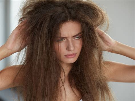 头发发质是沙发，干枯毛躁蓬松杂乱，这种发质该如何养护？