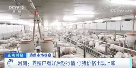 猪价连续三周下跌！国家统计局：生猪生产合理，不支持猪肉价格大幅上涨 - 猪好多网