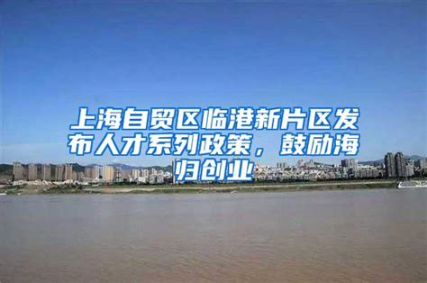 临港新片区，落户上海的最佳捷径！ - 知乎