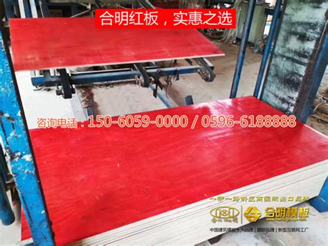 专业的松木板,漳州永达木业价格合理的全本地松模板,供应