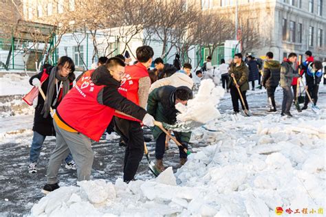 物理学院开展扫雪除冰志愿活动-物理学院学生管理