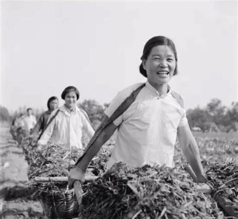 70年代农业生产队的老照片 真实记录了农村大集体火热的劳动场面