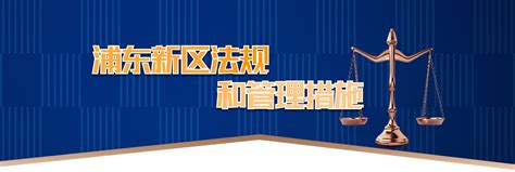 浦东新区法规_政务公开-上海市浦东新区门户网站