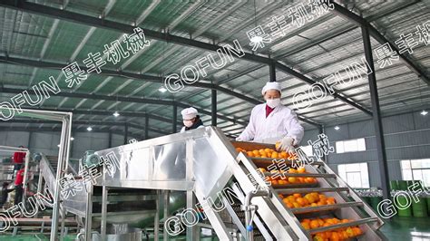 果蔬加工设备行业新闻-上海果丰机械设备有限公司
