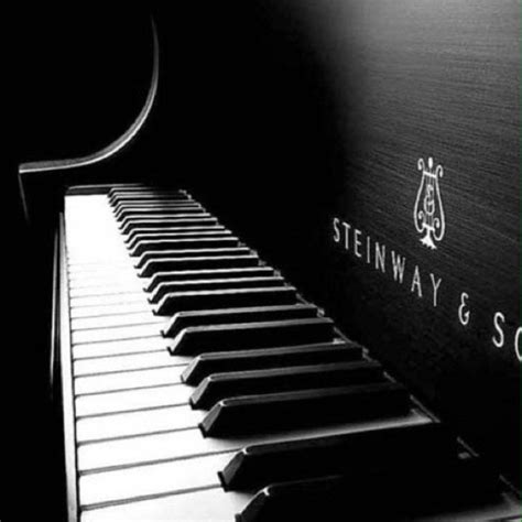 黑钢琴图片
