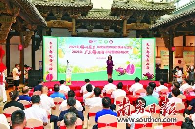 2021年广东梅州柚市场营销活动启动 品好柚 喝好茶-广东省农业农村厅网站
