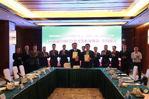 张家港携手上海 总投资超560亿元合作项目集中签约 - 丝路中国 - 中国网