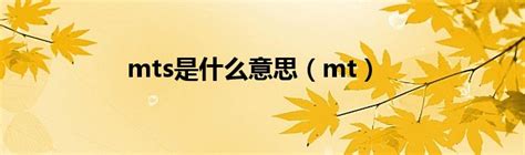 韩国MTS微针仪器X6小黑笔纳米导入水光精华微晶脸部中胚层导入仪_虎窝淘