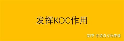 KOC（达人）营销平台_系统开发-程序员客栈