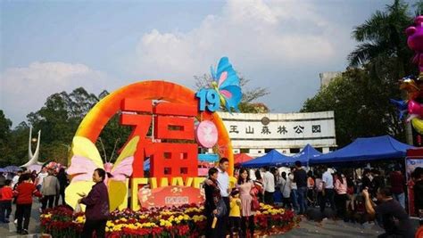 2019年云浮市春节文化和旅游假日市场客流和收入创新高_地市新闻_广东省文化和旅游厅