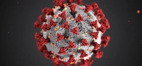 变异新冠病毒三大特征，正在迅速取代其他新冠病毒版本_科学探索_百战网
