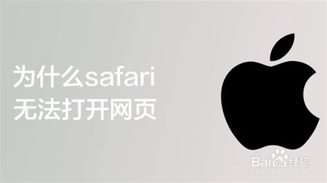 苹果手机Safari浏览器无法打开网页的解决办法-百度经验