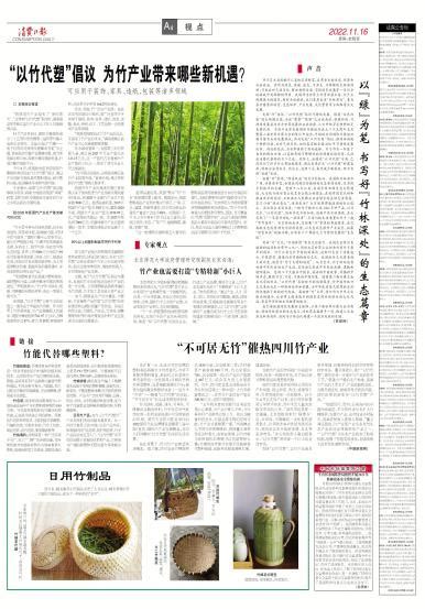 竹子产业经济价值大 政府鼓励商业化种植 - 农牧世界