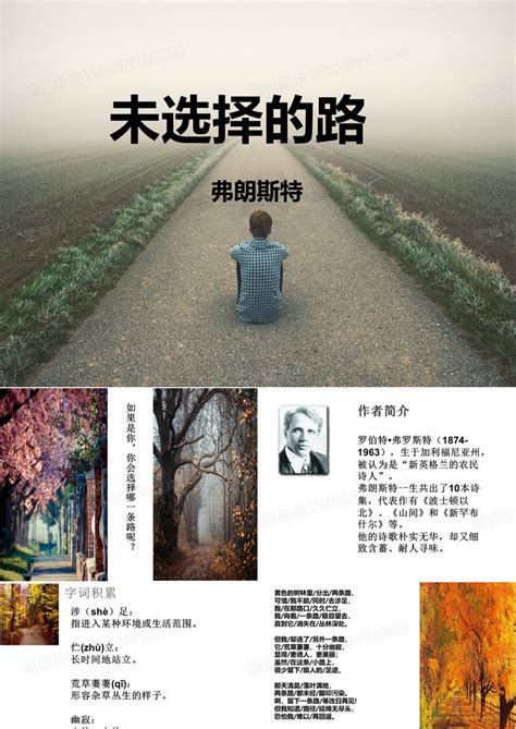 未选择的路（2018年河南文艺出版社出版的图书）_百度百科