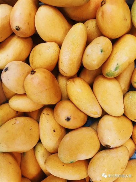 吃芒果会不会上火，过量吃芒果当心引发健康